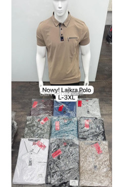 Koszulka męska (L-3XL) 1793