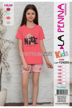 Piżama bawełna (134-164) 120239