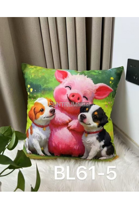 Poszewki (40x40cm) 42