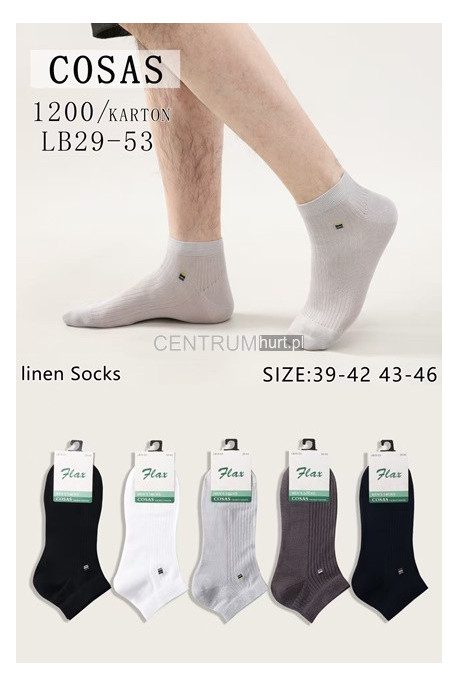 Skarpety męskie (39-46) LB29-5