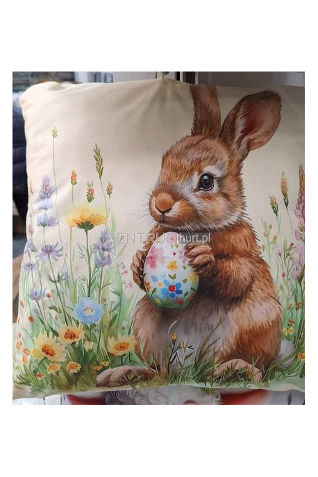 Poszewki (40x40cm) EACCH3E14-01