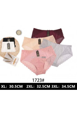 Majtki damskie (XL-3XL) 1723