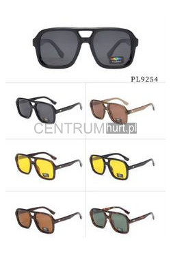 Okulary przeciwsłonecze 9254