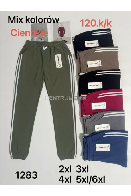 Spodnie damskie (2XL-6XL) 12