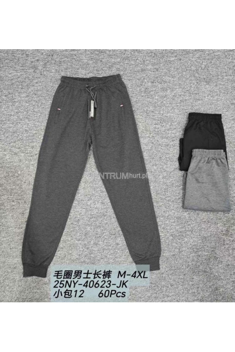Spodnie dresowe męskie (M-4XL) 1