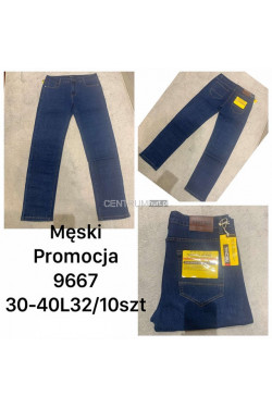 Jeansy męskie (30-40) 9667