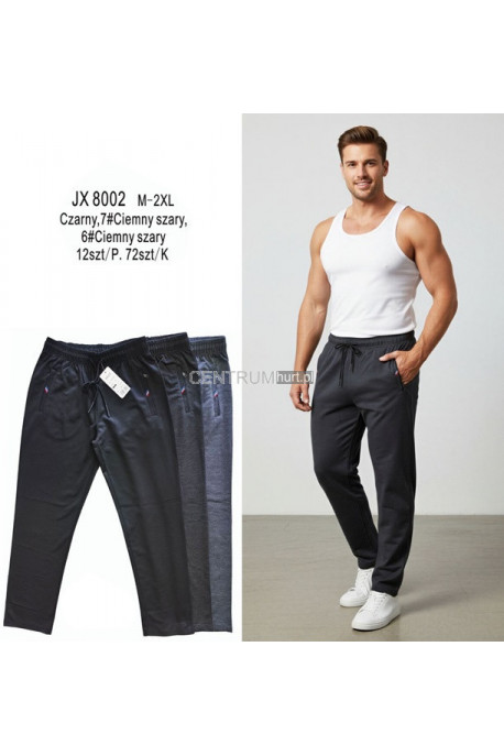 Spodnie dresowe męskie (M-2XL) 1