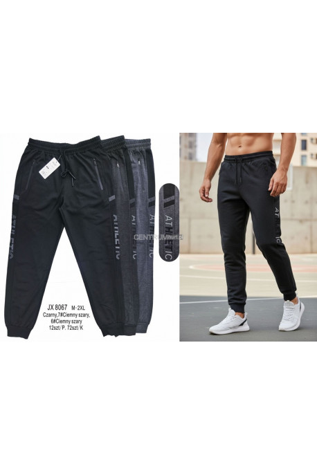 Spodnie dresowe męskie (M-2XL) 1