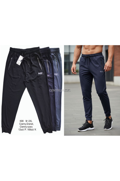 Spodnie dresowe męskie (M-2XL) 1