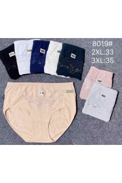 Majtki damskie (2XL-3XL) 8019