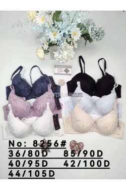 Biustonosz damski MISKA C 1