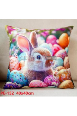 Poszewki (40x40cm) 0403011