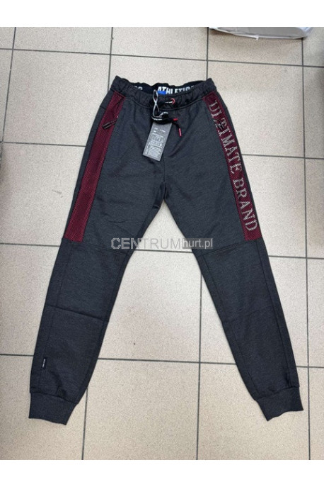 Spodnie dresowe męskie (M-2XL) 33