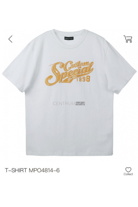 Koszulka męska (M-2XL) 1