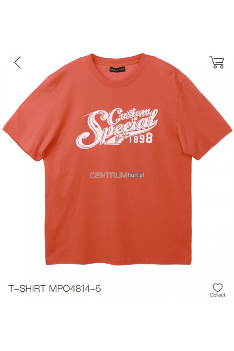 Koszulka męska (M-2XL) 1