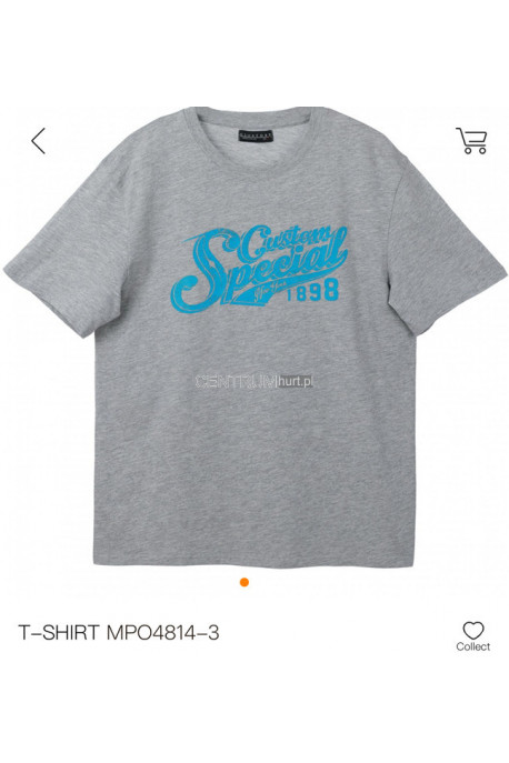 Koszulka męska (M-2XL) 1