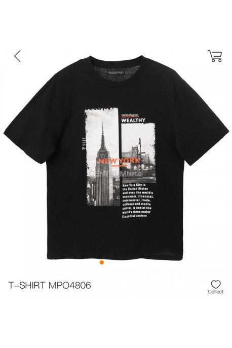 Koszulka męska (M-2XL) 1