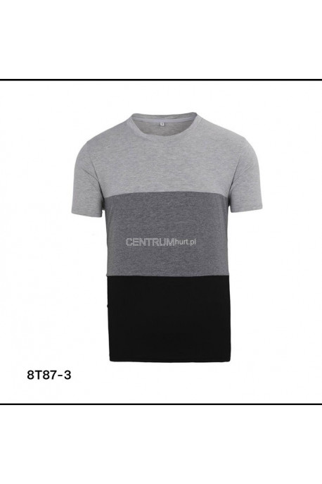 Koszulka męska (M-2XL) 1