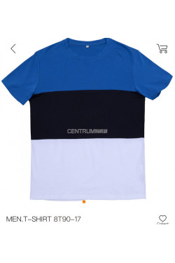Koszulka męska (M-2XL) 8T90-17
