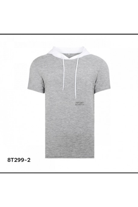 Koszulka męska (M-2XL) 1