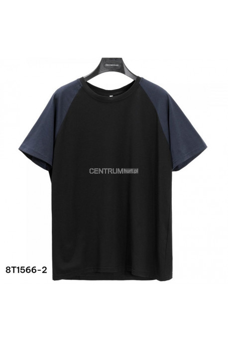Koszulka męska (M-2XL) 1