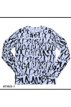 Koszulka męska (M-2XL) 8T1513-1