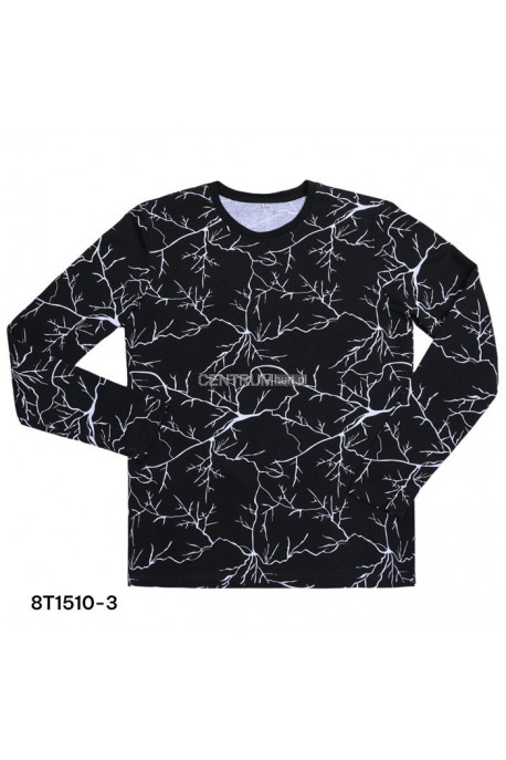 Koszulka męska (M-2XL) 1