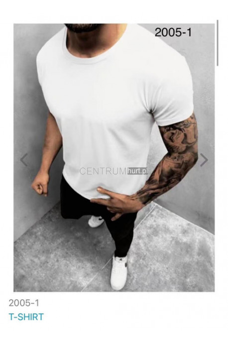 Koszulka męska (M-2XL) 1