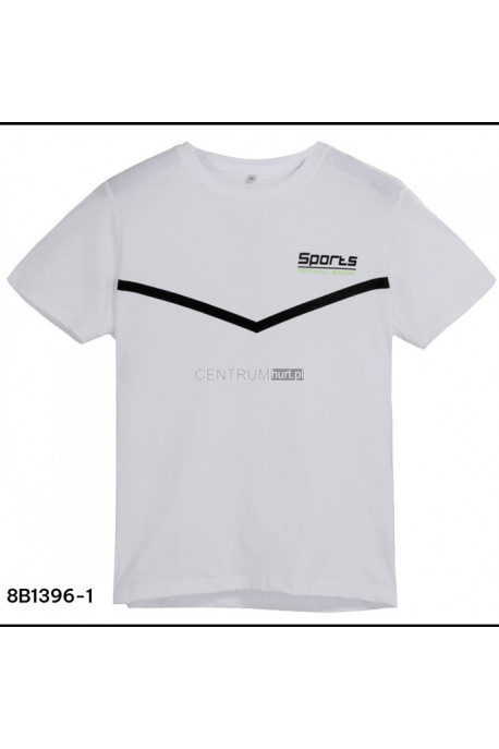 Koszulka męska (M-2XL) 1