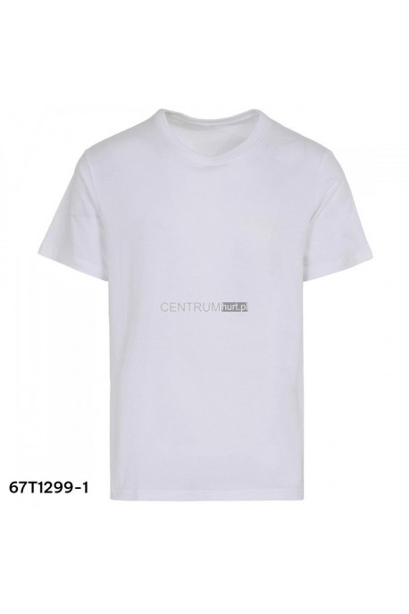 Koszulka męska (M-2XL) 1