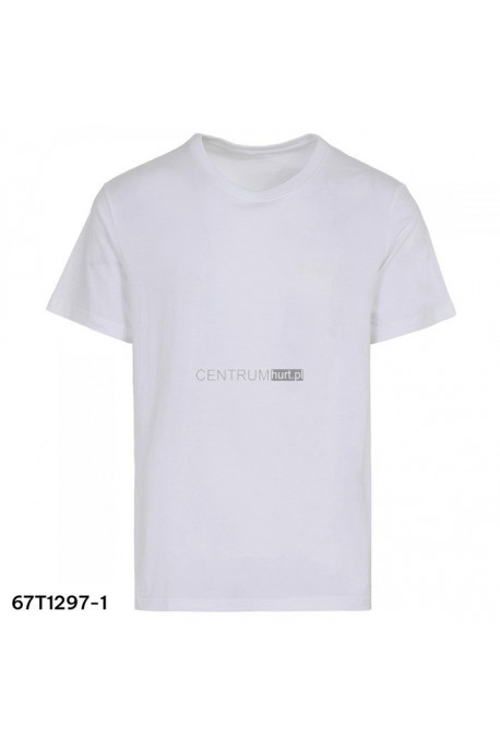 Koszulka męska (M-2XL) 1