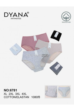 Majtki damskie (XL-4XL) 6781