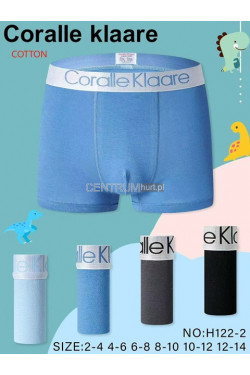 Bokserki chłopięce (2-14) H122-2