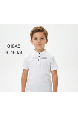 Bluzka chłopięca (6-16) 018A5