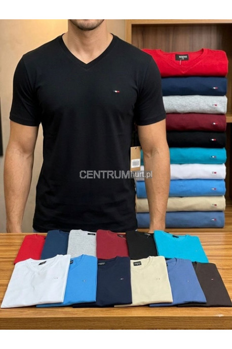 Koszulka męska (M-2XL) 45