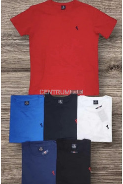 Koszulka męska (L-3XL) 4574