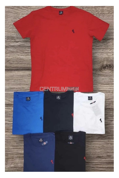 Koszulka męska (M-2XL) 45