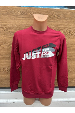 Bluza męska (M-2XL) 4579