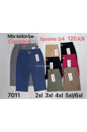 Spodenki damskie (2XL-6XL) 1