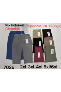 Spodenki damskie (2XL-6XL) 1
