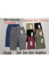 Spodenki damskie (2XL-6XL) 1