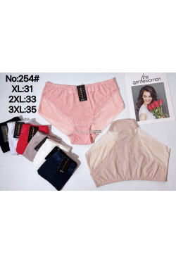 Majtki damskie (XL-3XL) 254