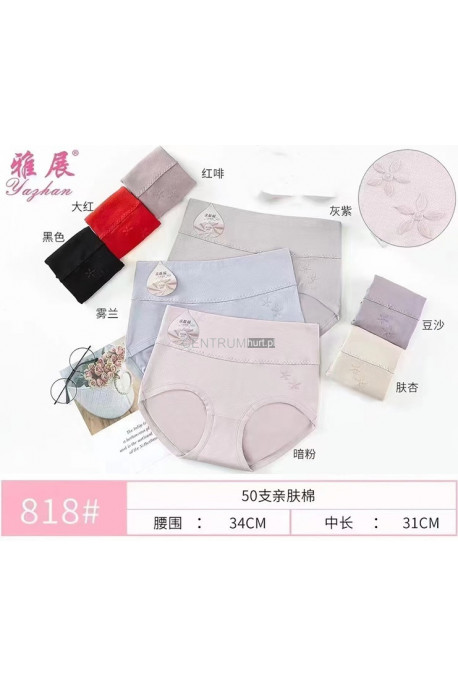 Majtki damskie (XL-3XL) 1