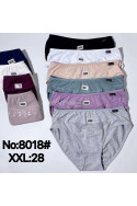 Majtki damskie (XL-3XL) 1