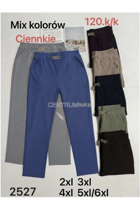 Spodnie damskie (2XL-6XL) 1