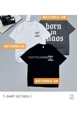 Koszulka męska (M-2XL) T3953-1