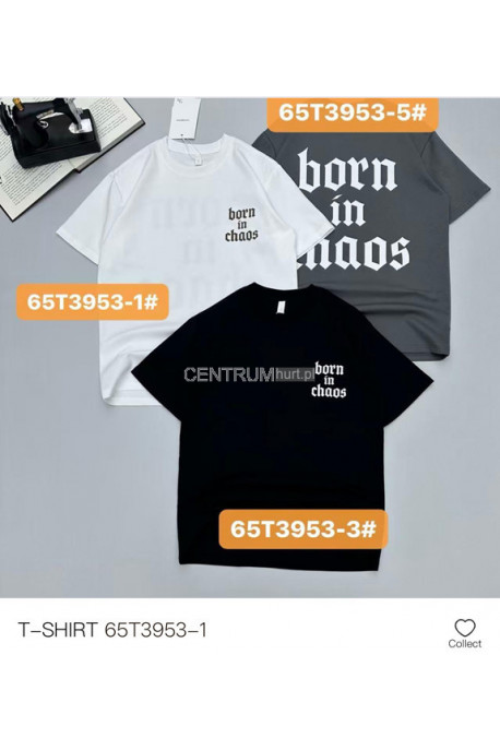 Koszulka męska (M-2XL) 1