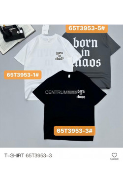 Koszulka męska (M-2XL) T3953-3