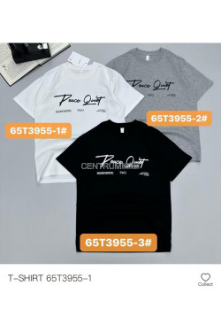 Koszulka męska (M-2XL) T3955-1