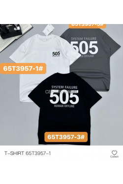 Koszulka męska (M-2XL) T3957-1